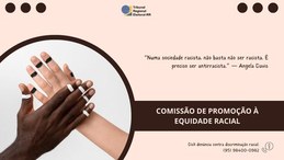 A Comissão de Promoção à Equidade Racial foi instituída pelo art. 2º, inciso VII da Resolução nº...