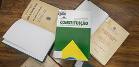 Constituição