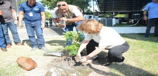 Plantio Pau Brasil 19.09.2023