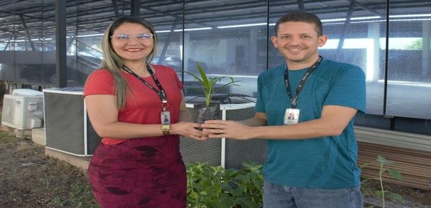 Plantio Pau Brasil 19.09.2023
