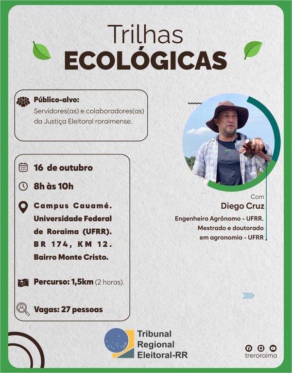 #PraTodosVerem | #PraCegoVer | #Acessibilidade – Card com fundo cinza-claro e bordas verdes. No ...