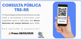 TRE-RR CONSULTA PÚBLICA