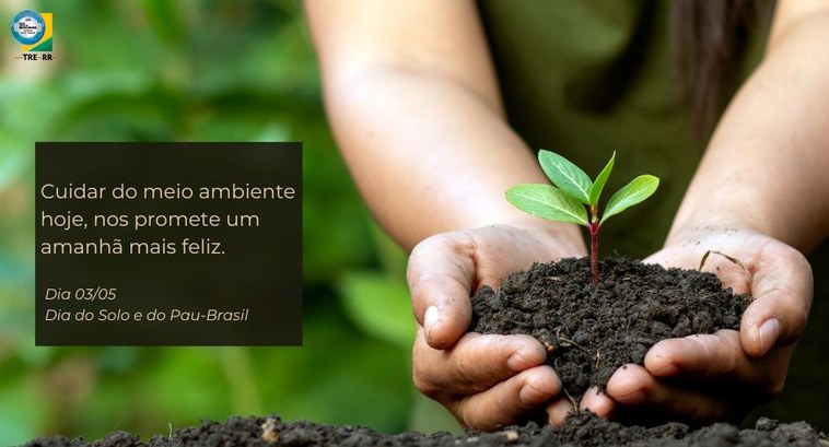 TRE-RR-Dia do Solo e do Pau-Brasil TRE-RR-Dia do Solo e do Pau-Brasil