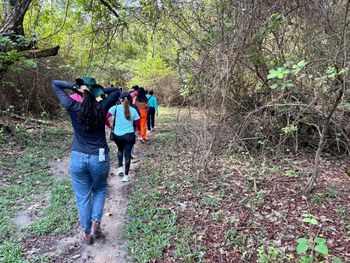 Grupo de pessoas caminha por uma trilha cercada de vegetação, em área sombreada por árvores. Tod...